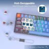 717R8DCfSfL._AC_UF350,350_QL80_ RK Switches Mechanical Keyboard 3 5 Pin Brown Factory Pre Lubed Switch